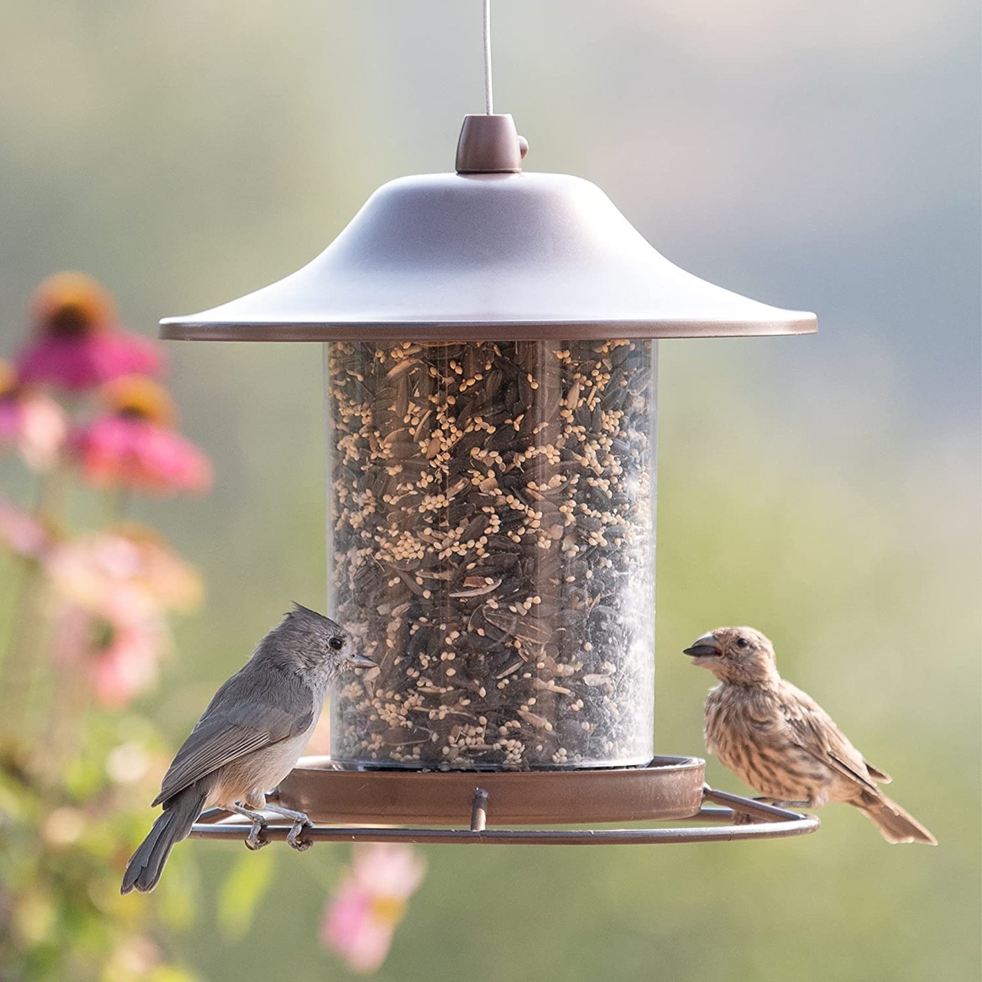 Perky Pet Small Panorama Squirrel Resistant Hanging Bird Feeder, Rustic Brown
