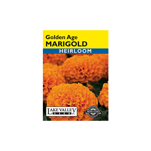 Lake Valley Seeds Marigold, Golden Age Heirloom, 0.4g