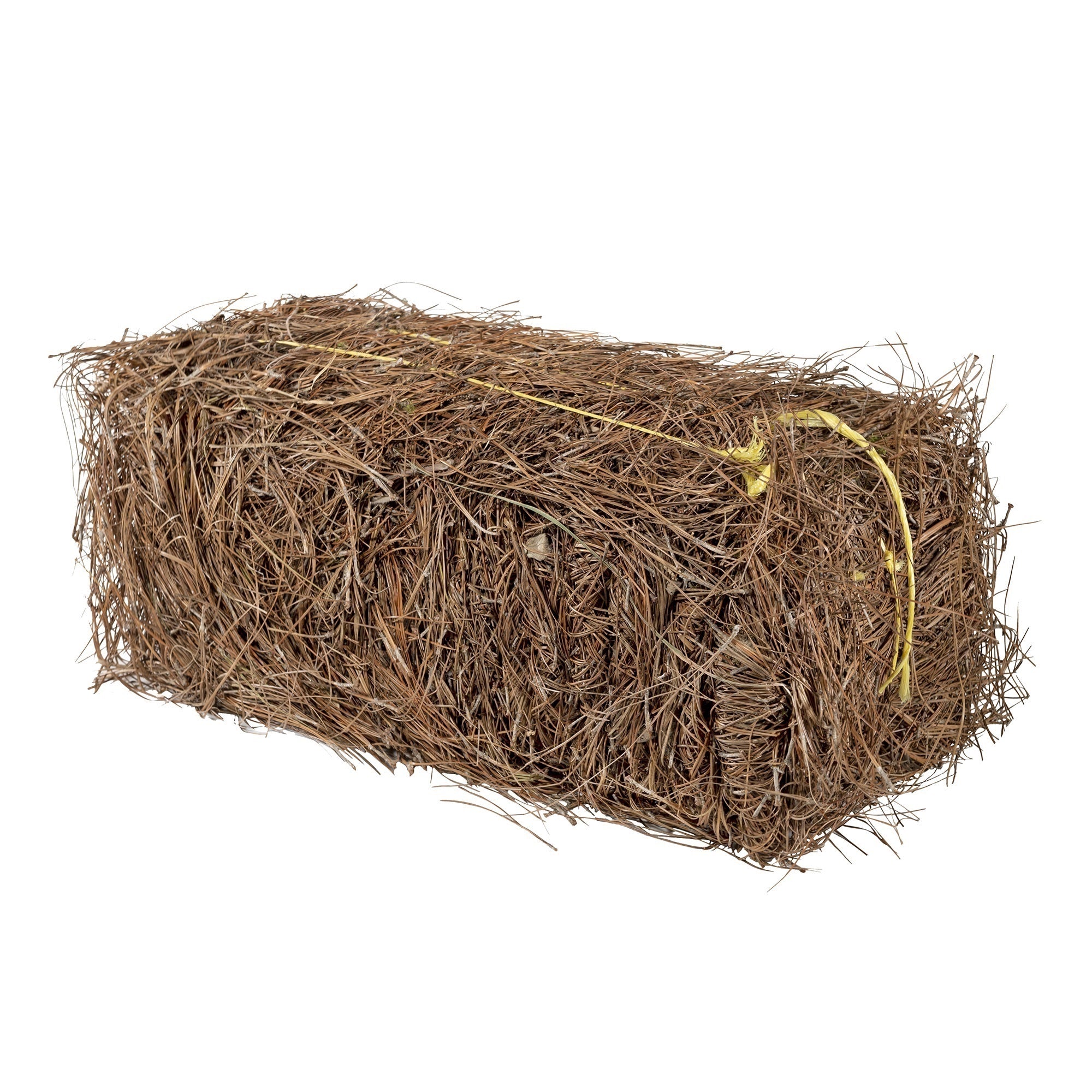 Garden Elements Long Leaf Pine Straw Bale for Mulch, Soil Amendment and Fall Decoration, 1" Depth Covers 70 Sq Ft
