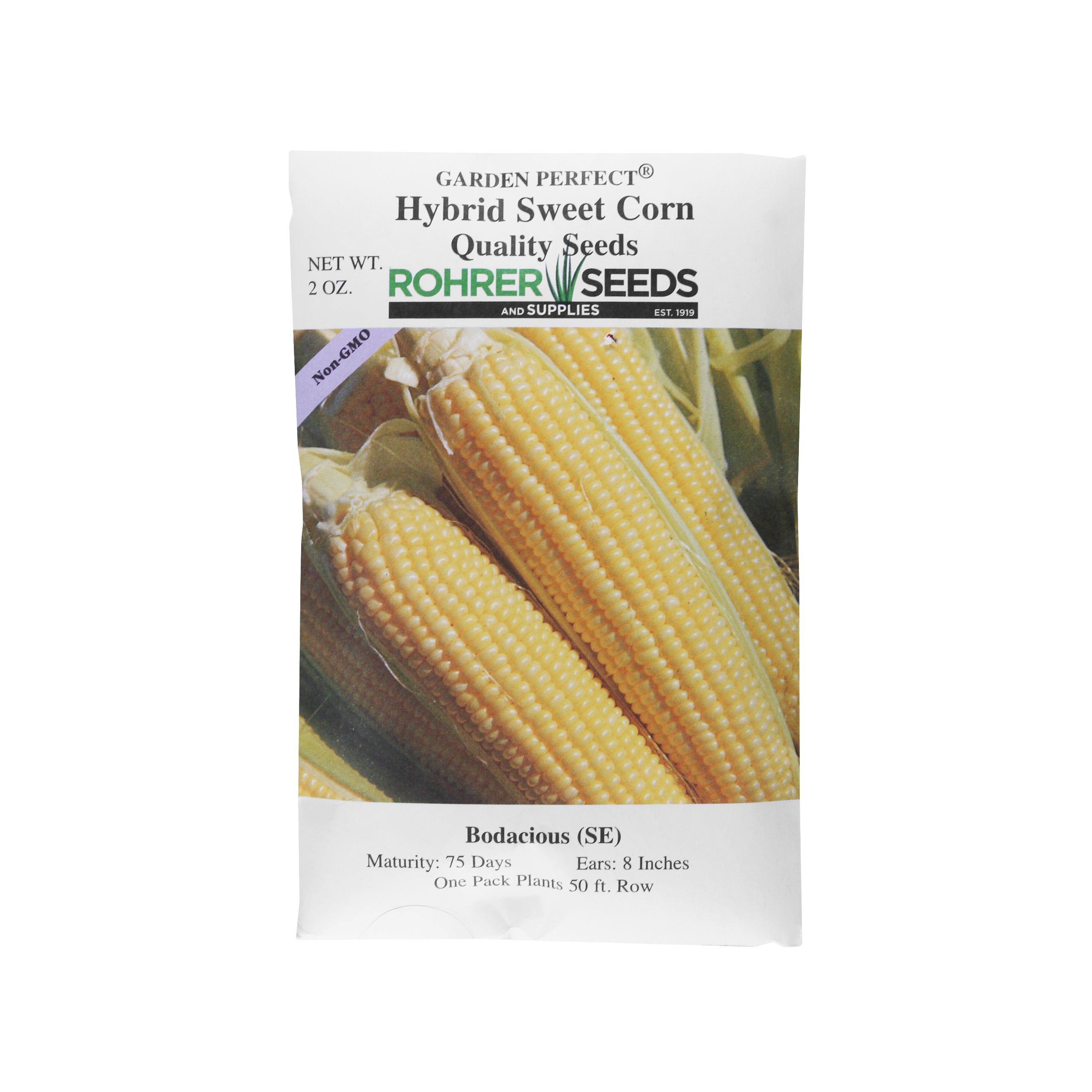 Rohrer Seeds Bodacious (SE) Hybrid Sweet Corn, 2oz Packet, Plants 50ft Row
