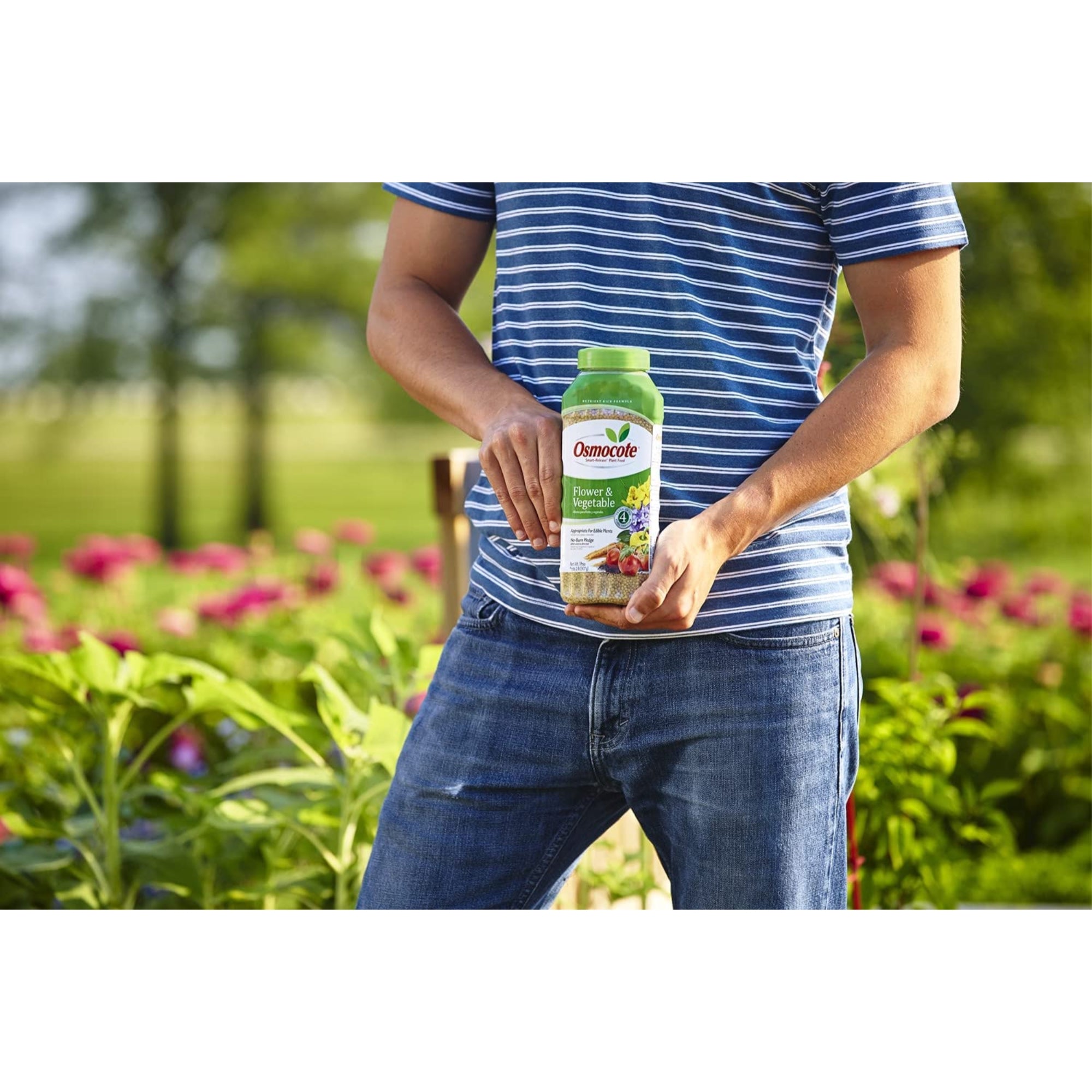 Osmocote Smart-Release Flower and Vegetable Plant Food, 2lb