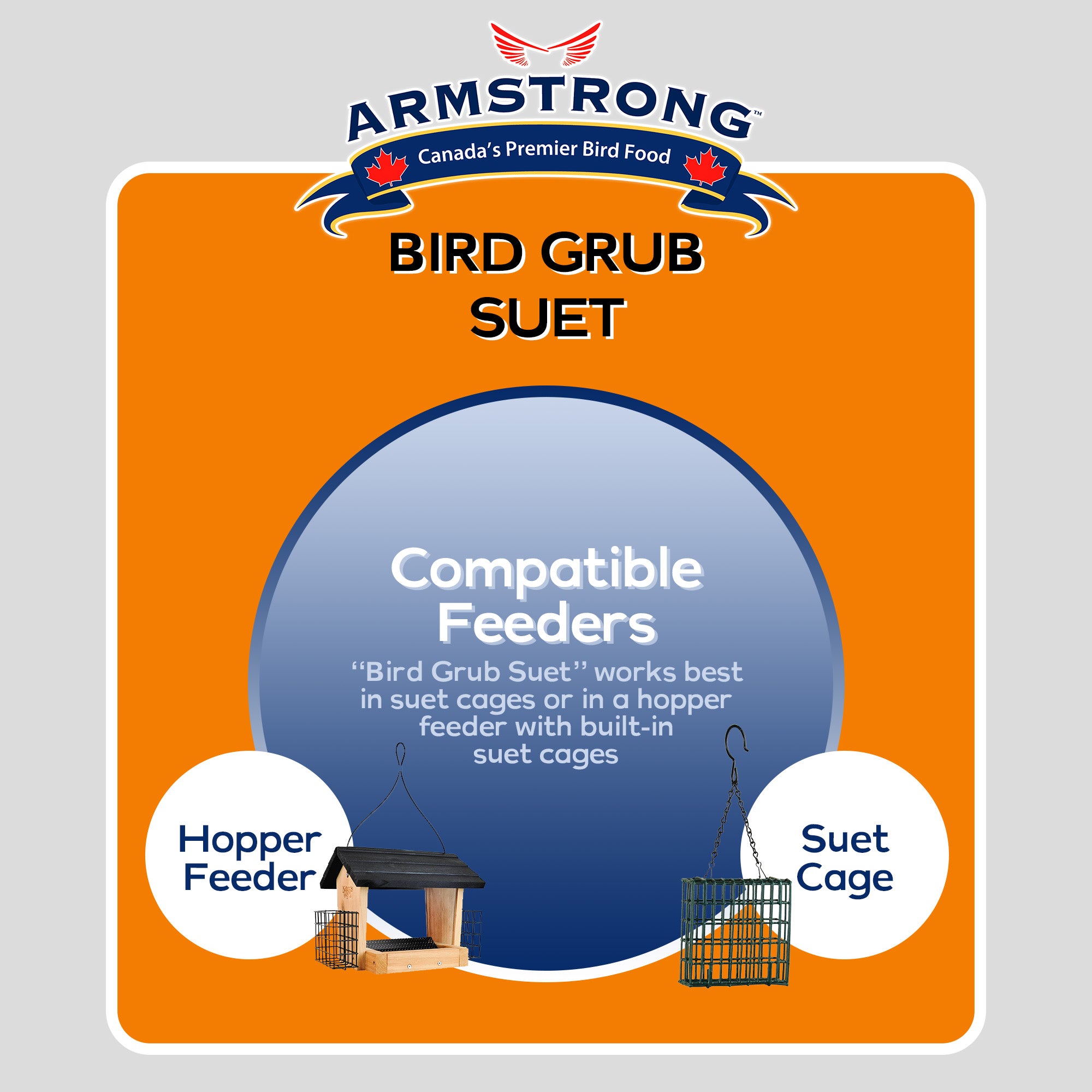 Armstrong Wild Bird Food Bird Grub Suet Cake, 10.6oz (Pack of 12)