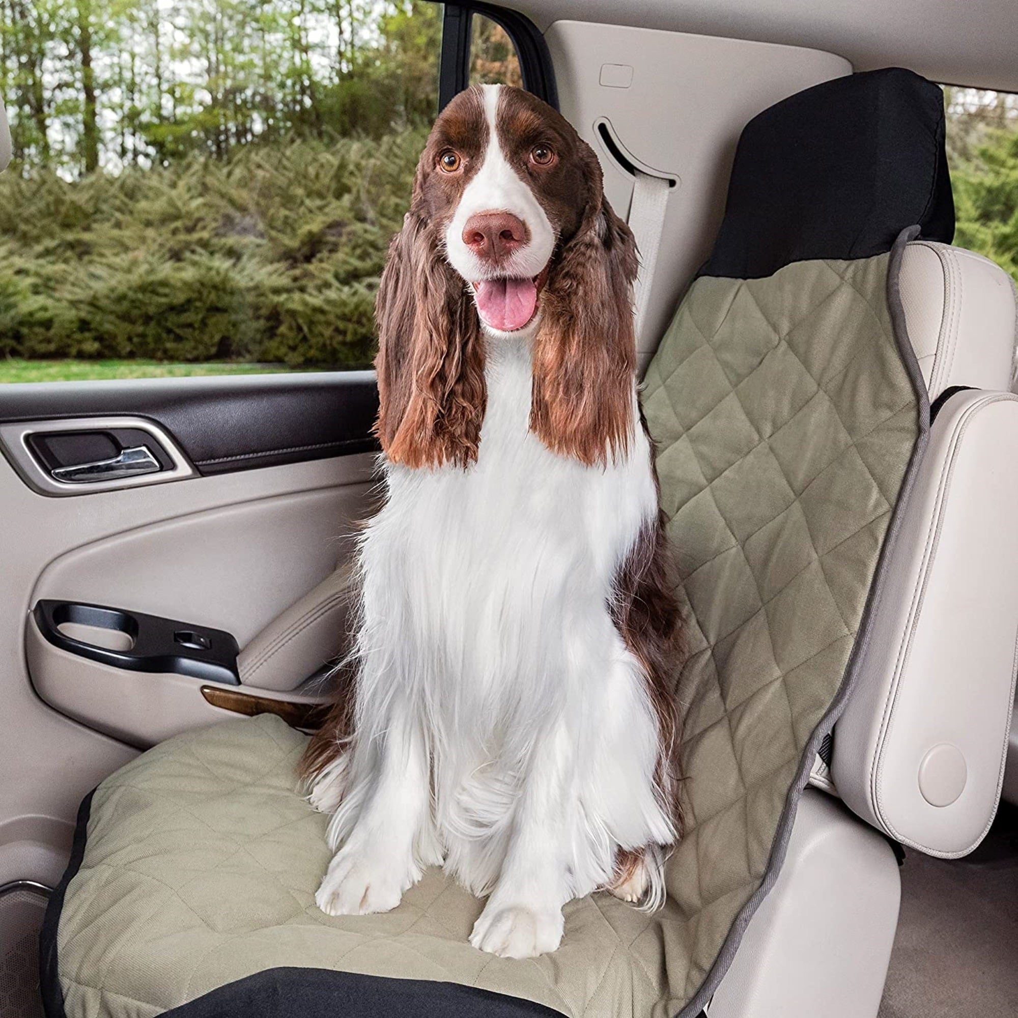 PetSafe Happy Ride Seat Cover, Waterproof, Fits Most Vehicles, Green
