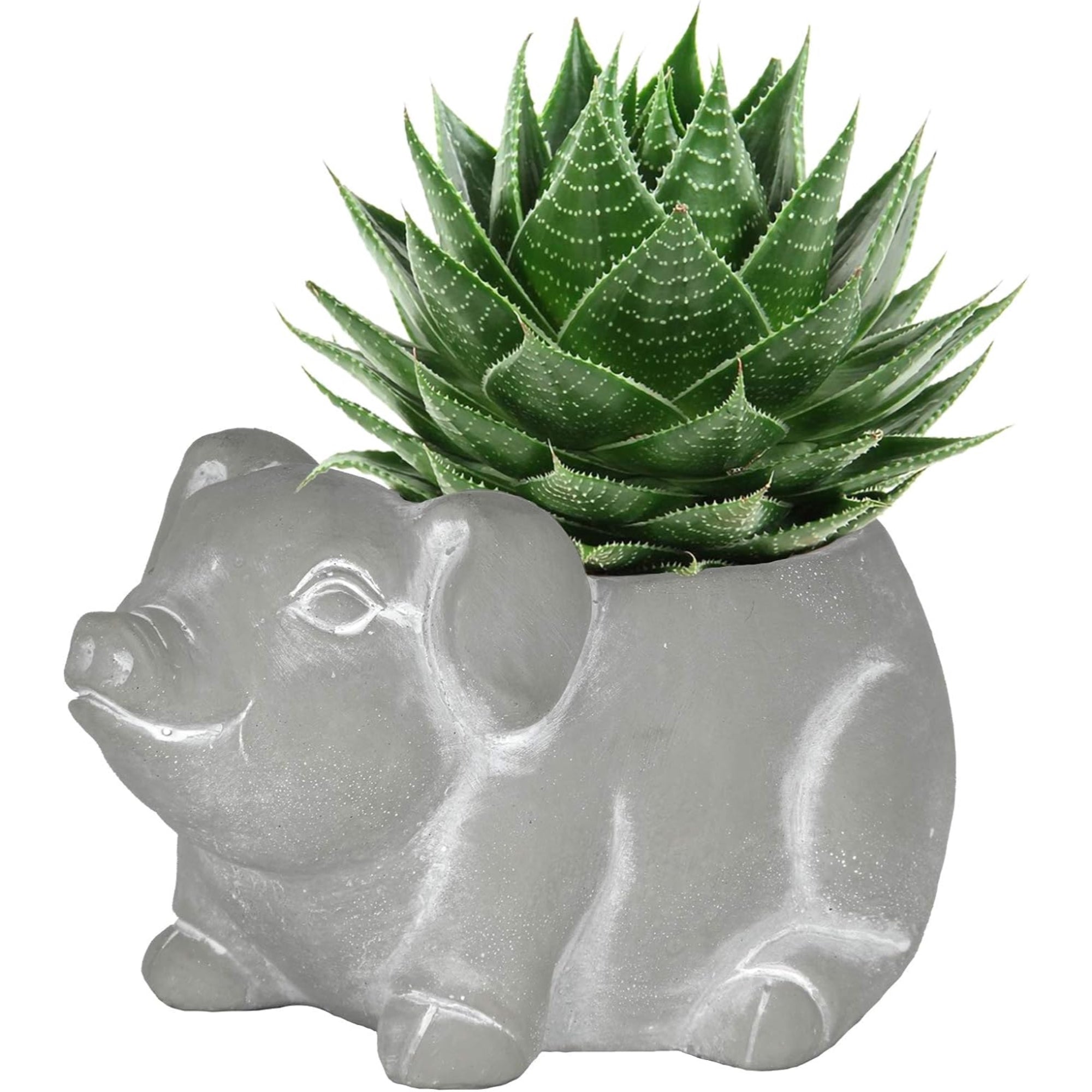 Classic Home and Garden Cement Buddies Indoor/Outdoor Planter with Drainage Hole, Piglet