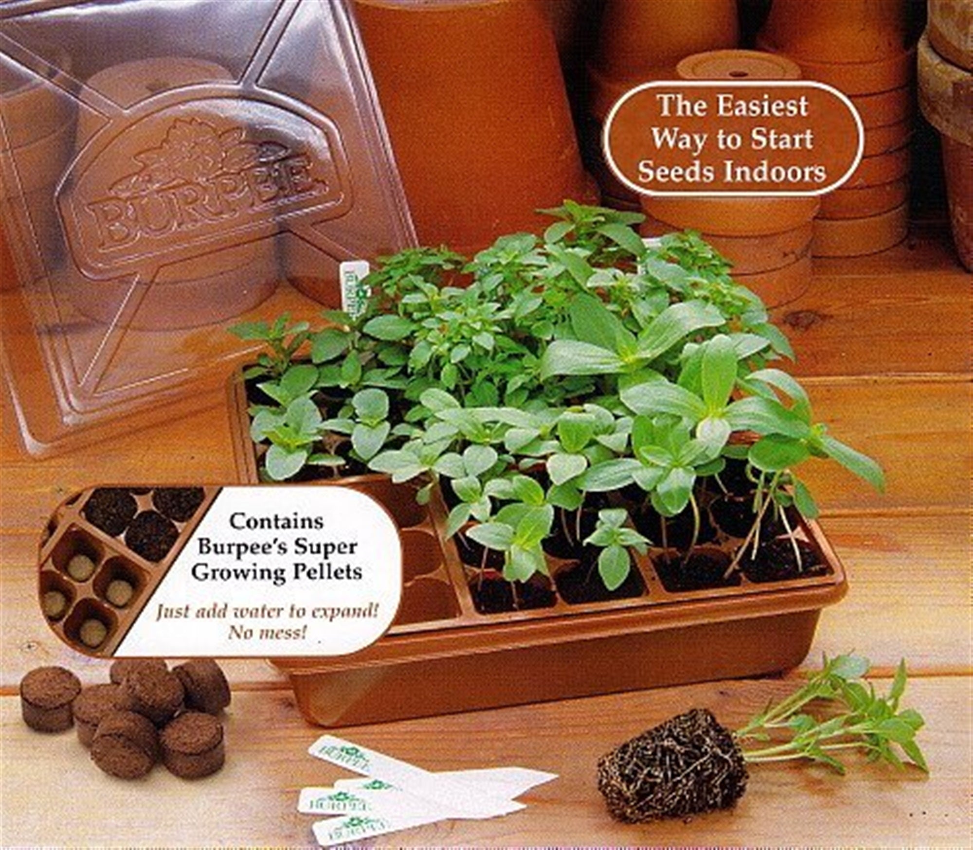 Burpee 36 Cell Greenhouse, Seed Starting, Kit