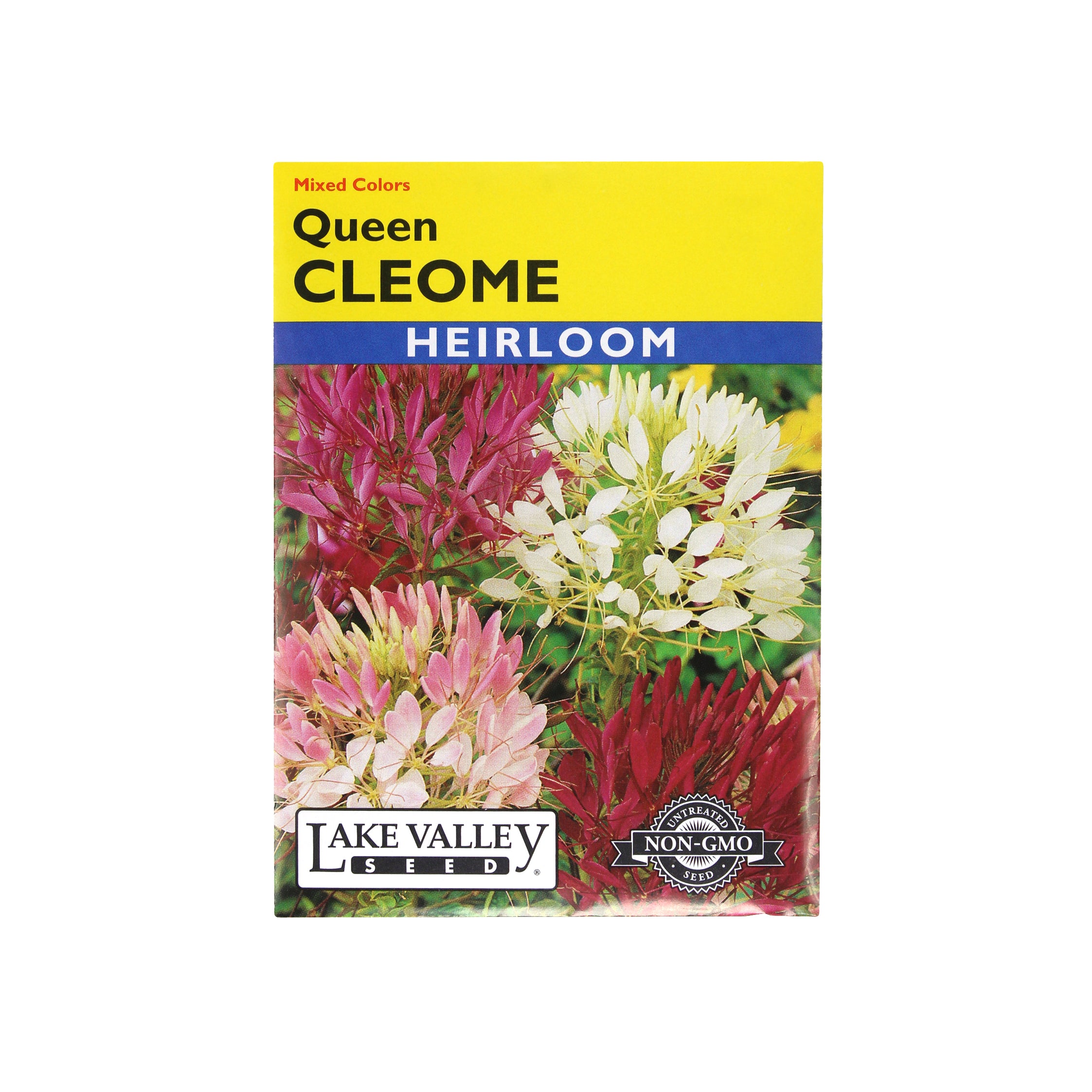 Lake Valley Seed Cleome Queen Mixed Colors, 0.40g
