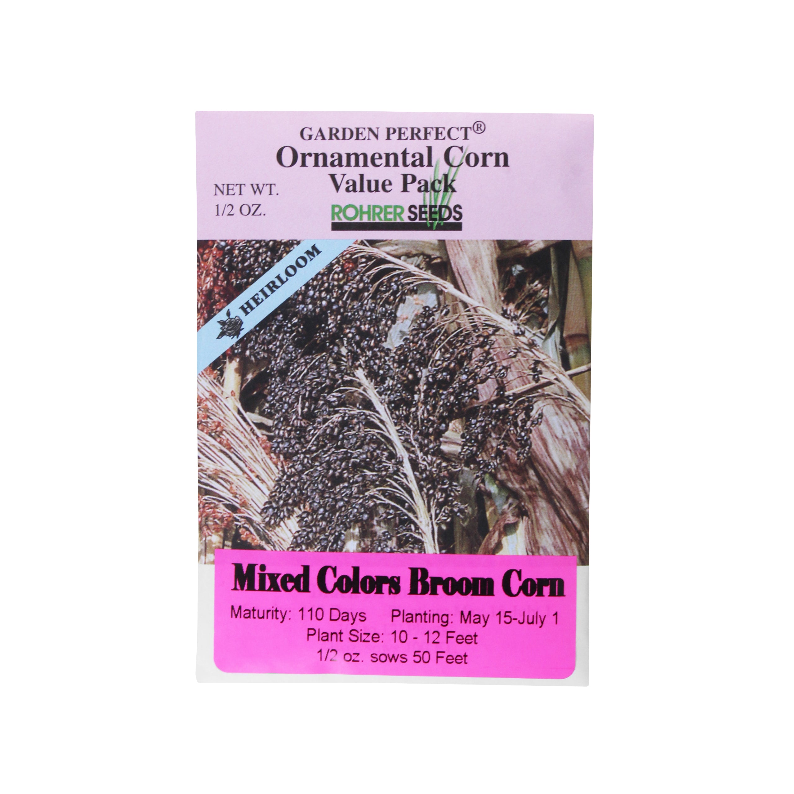 Rohrer Seeds Mixed Colors Broom Ornamental Corn Value Pack, 0.5oz Packet, Sows 50ft