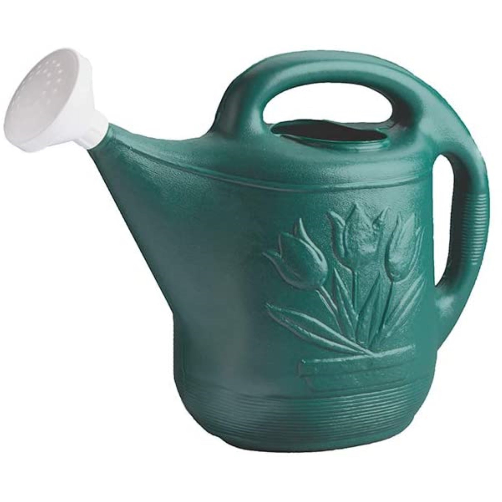 Novelty Classic Plastic Watering Can, Classic Version, Green, 2 Gallon Capacity