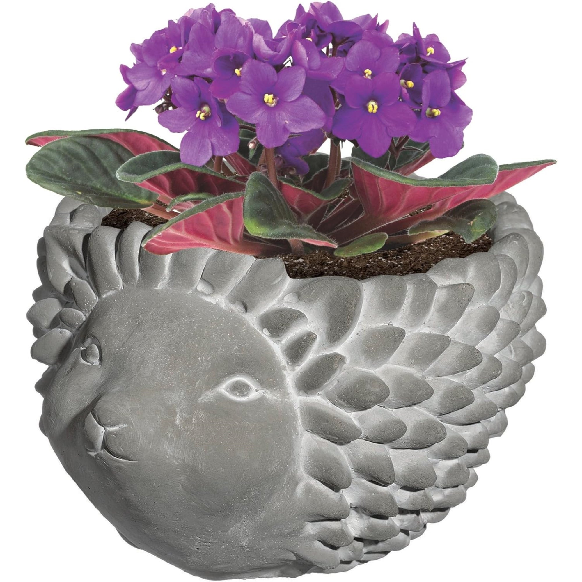 Classic Home and Garden Cement Buddies Indoor/Outdoor Planter with Drainage Hole, Hedgehog