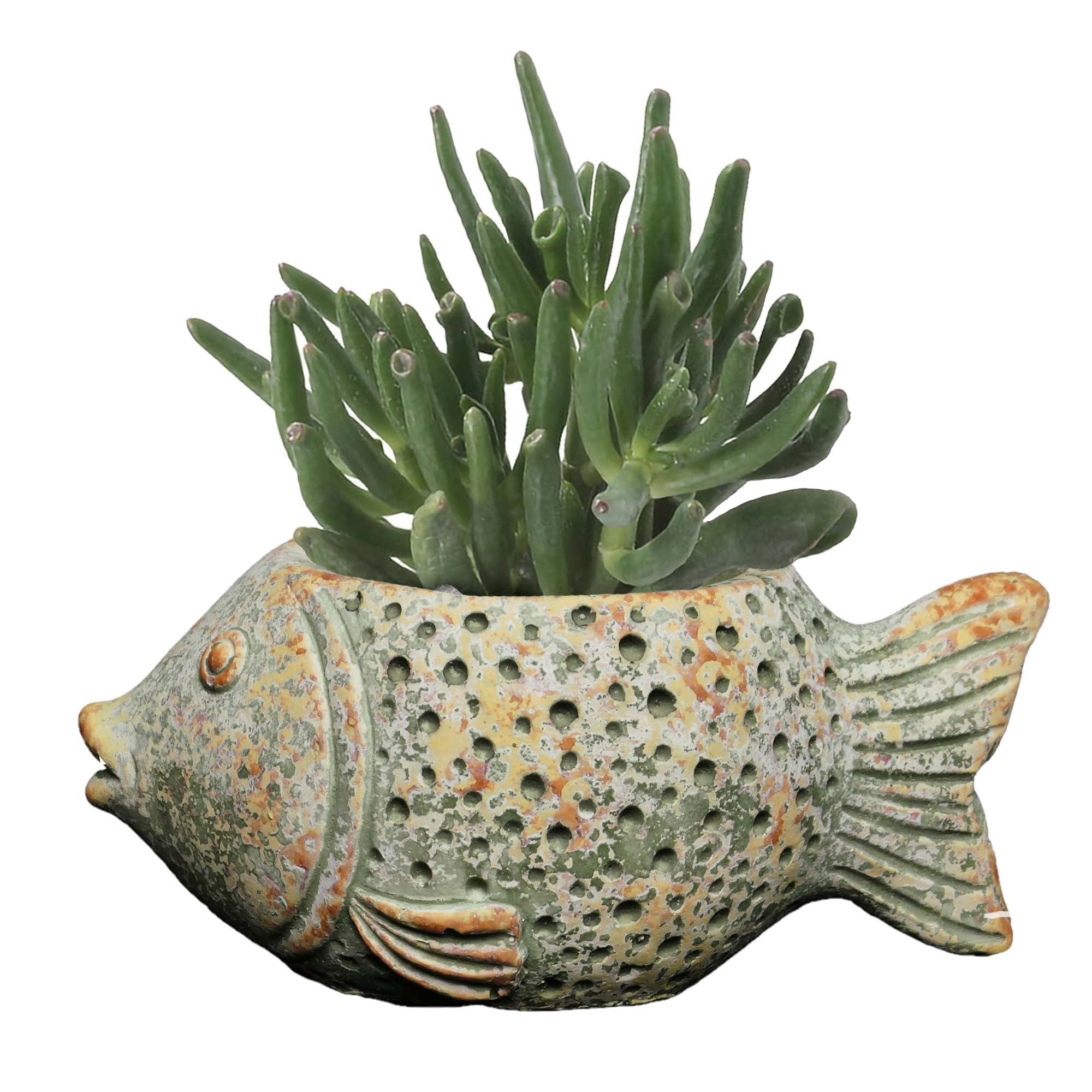 Classic Home and Garden Indoor Outdoor Cement Coral Fish Planter, Multicolored, 6.5"