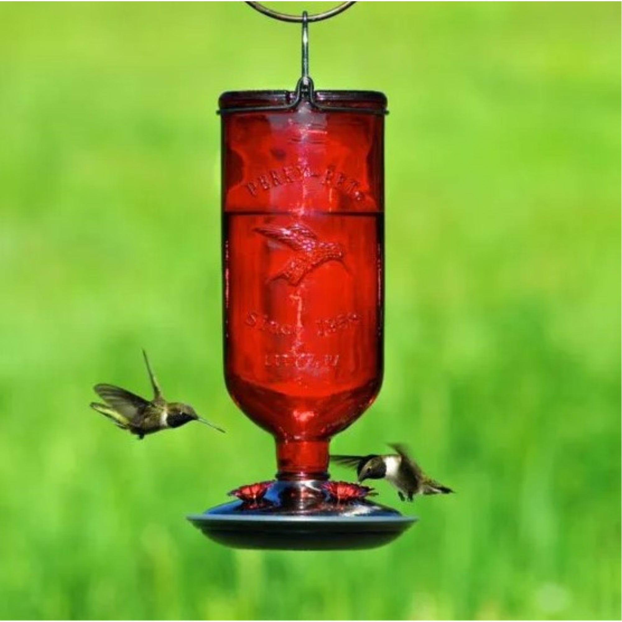 Perky-Pet Antique Glass Bottle Hummingbird Feeder-16-Ounce Capacity, Red