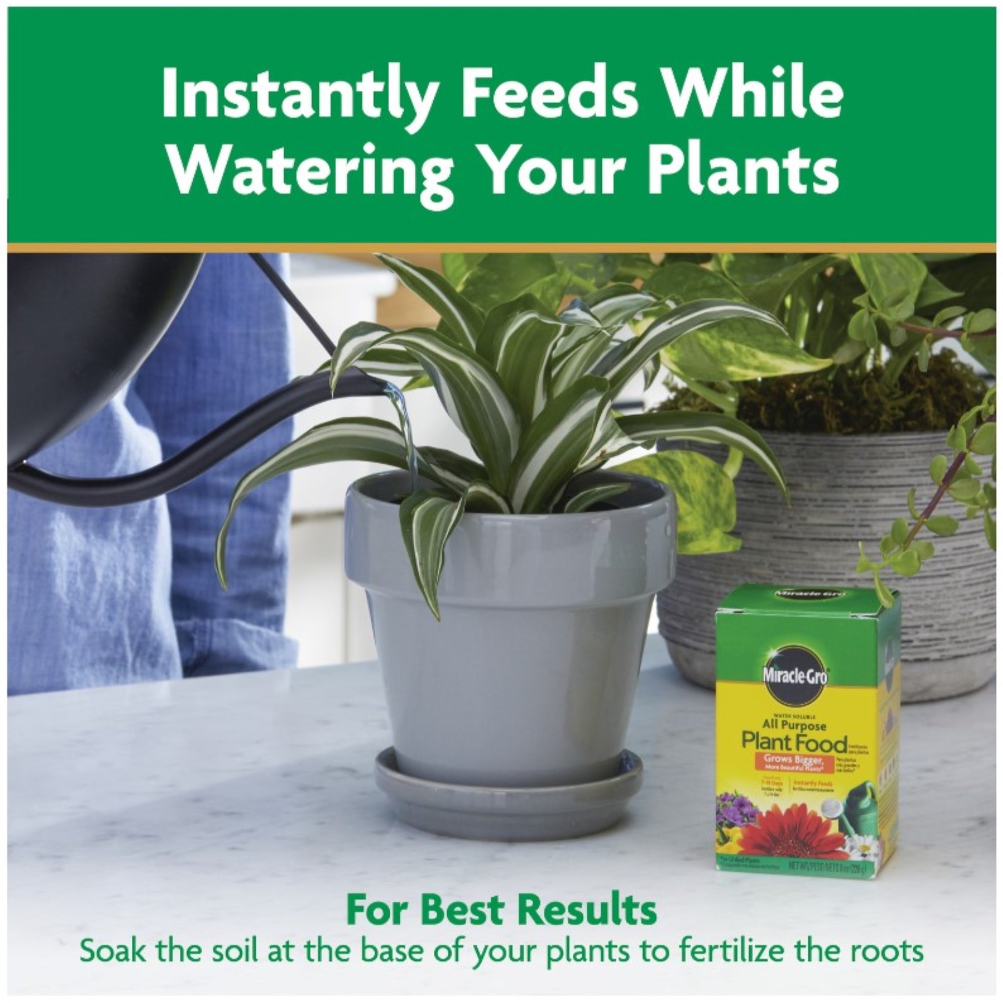 Miracle-Gro Water Soluble All Purpose Plant Food, 8 oz