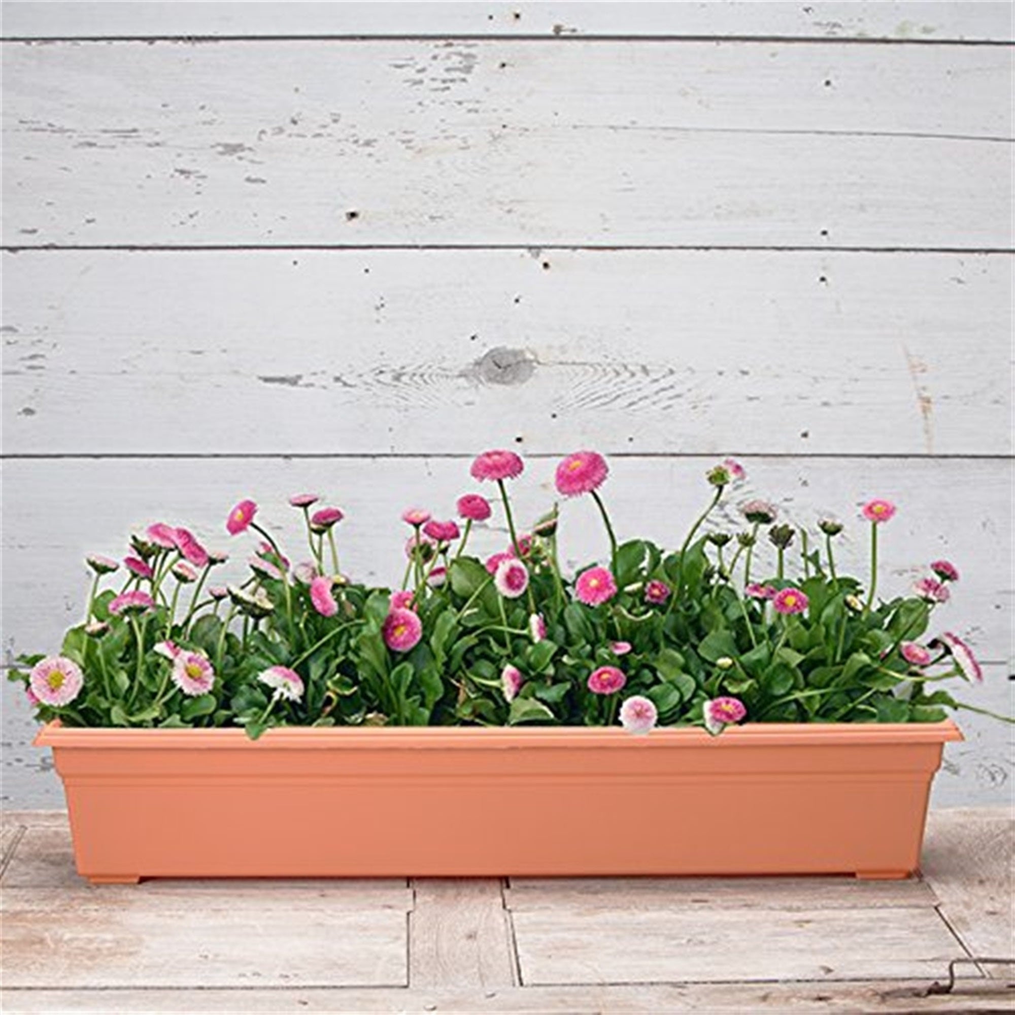 Novelty Plastic Countryside Flower Box Planter, Terracotta 36"