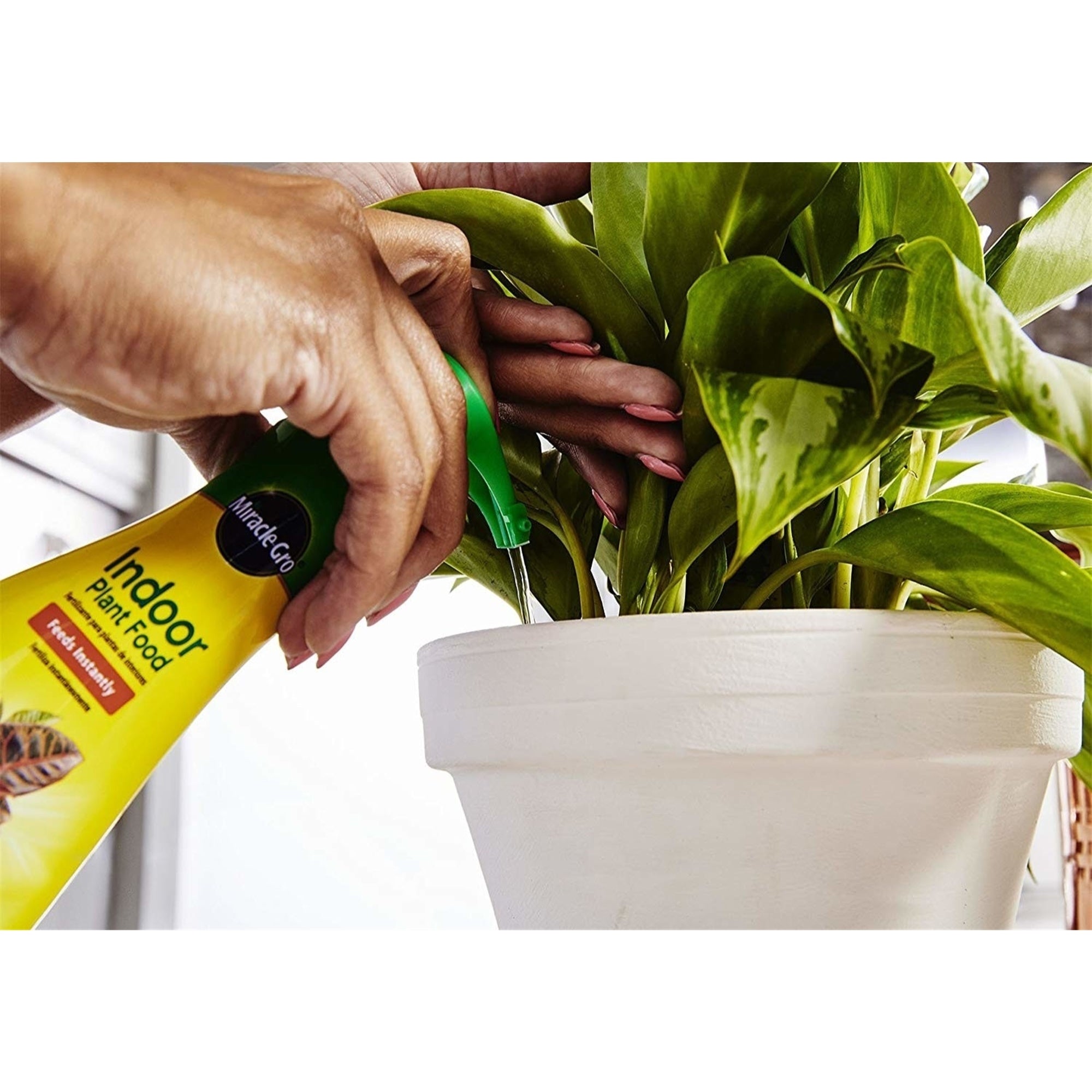 Scotts Miracle-Grow Indoor Liquid Plant Food, 8 fl oz