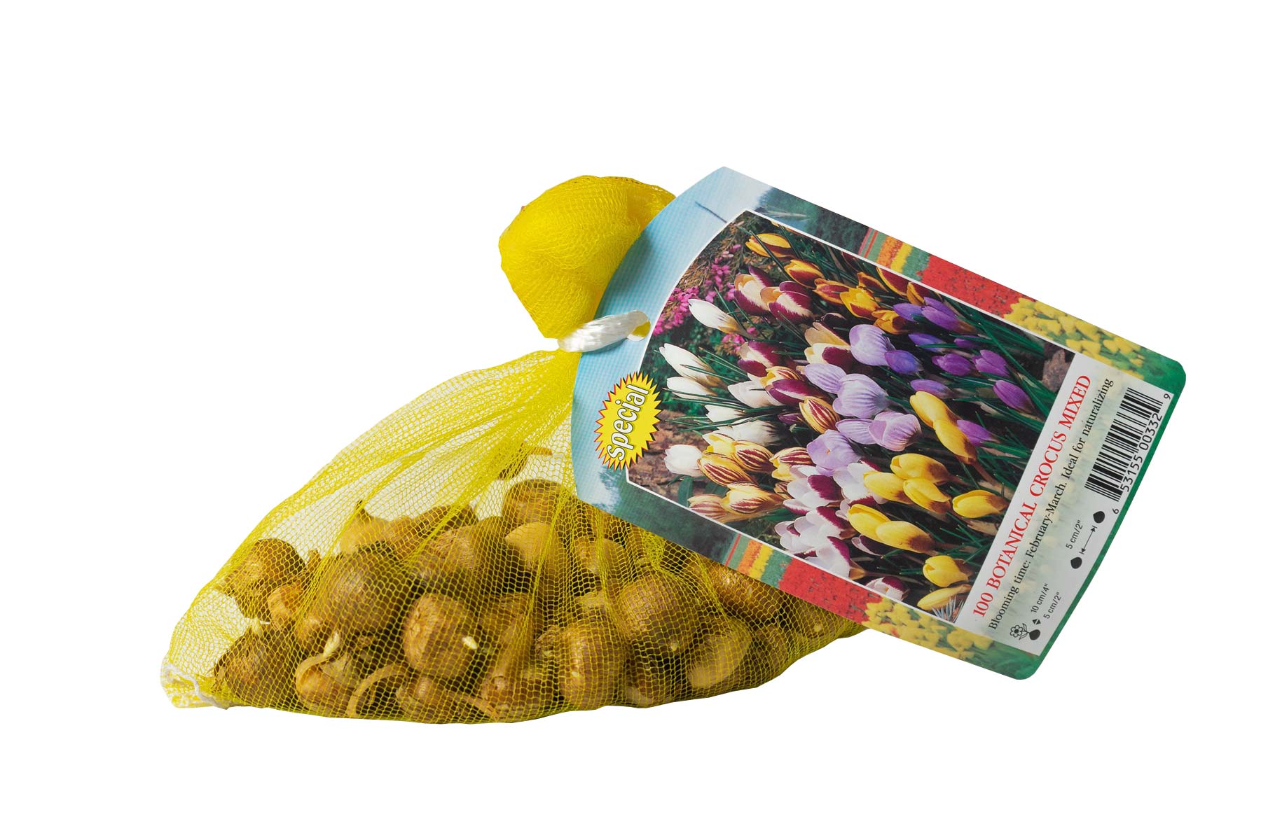 Rotteveel Bulb Company Crocus Botanical Mixed Flower Bulbs (100/Pack)