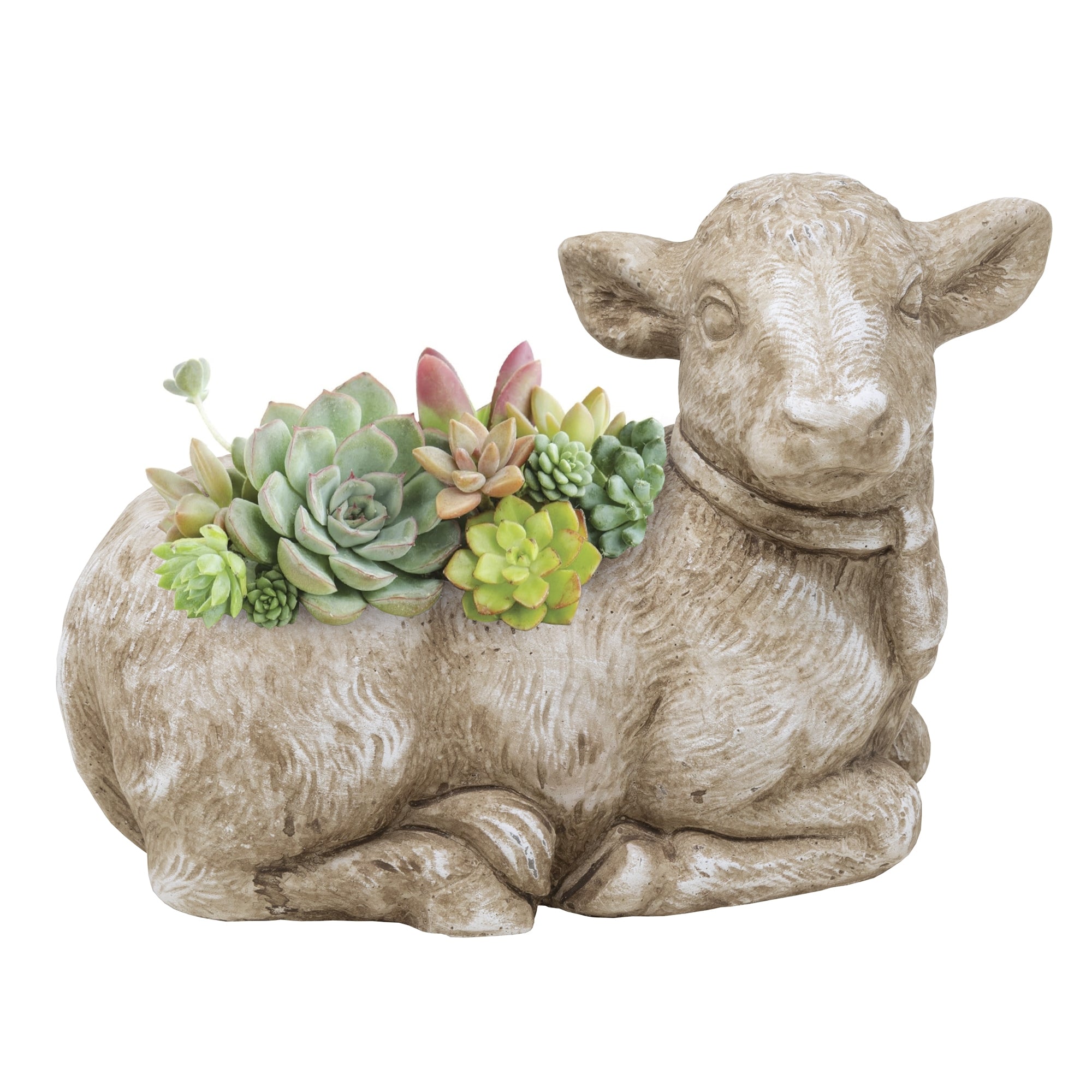 Classic Home and Garden Indoor/Outdoor Cement Succulent Planter with Drainage Hole, Cow