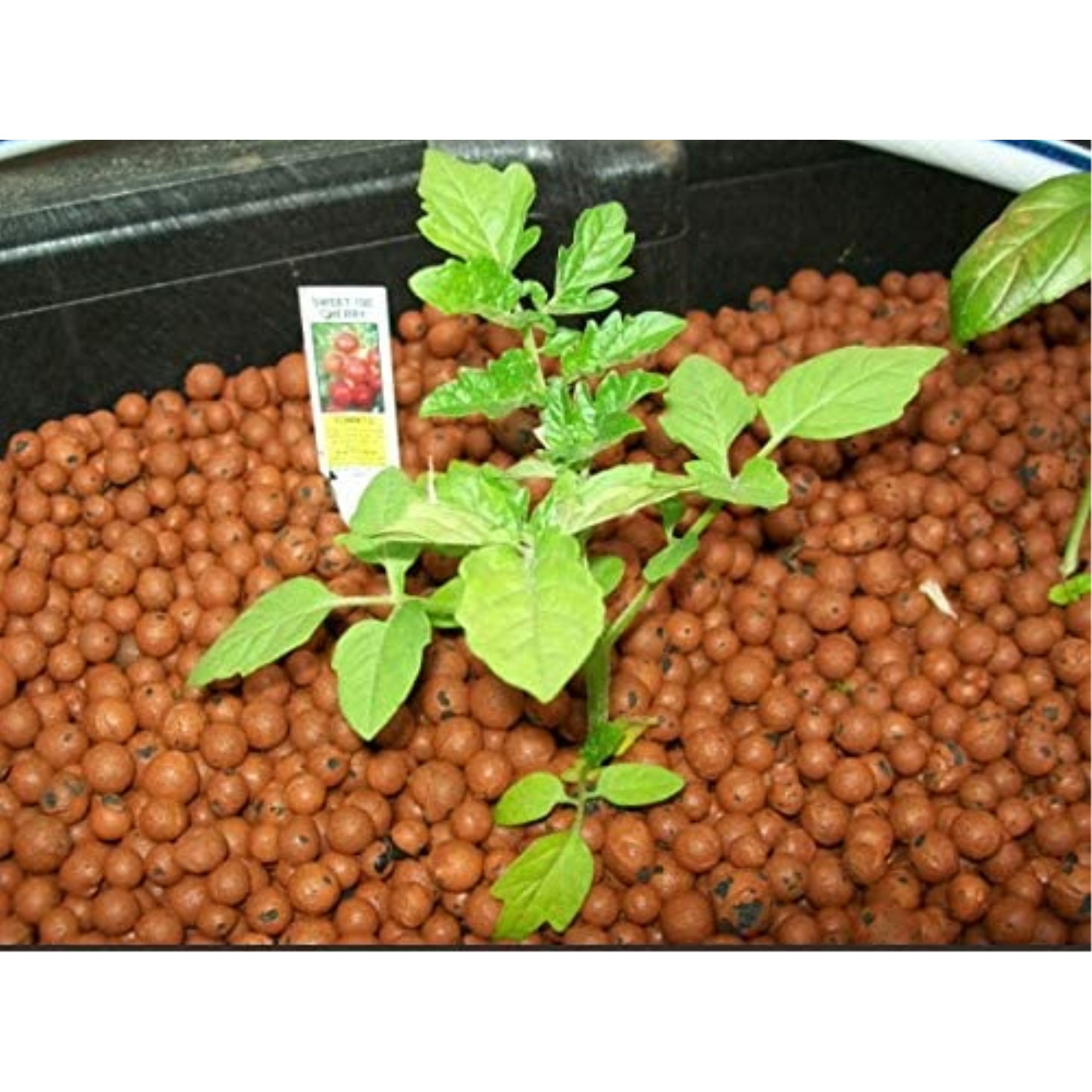 Hydrofarm GROW!T Clay Pebbles, 4mm-16mm, Brown, 25 L Bag