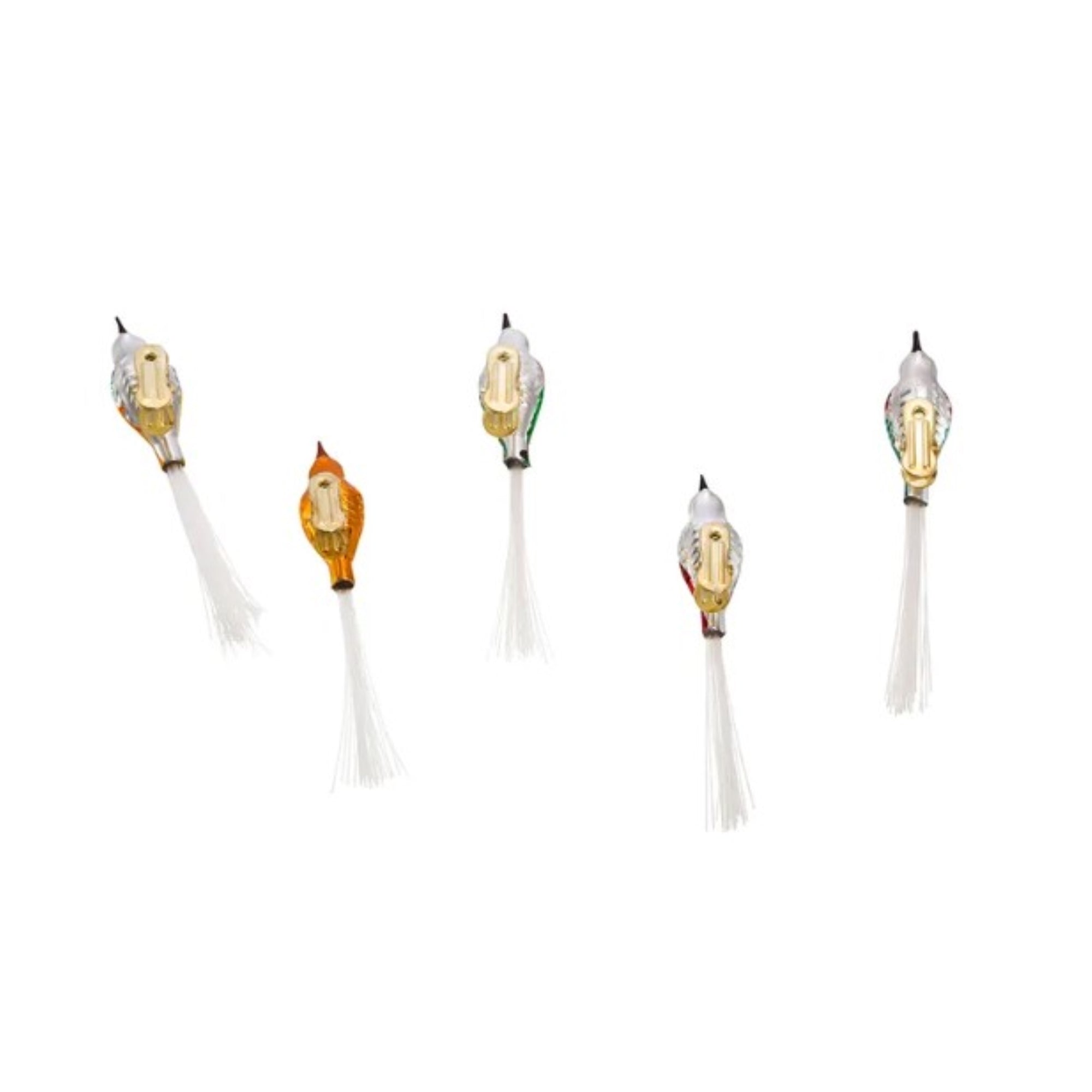 Kurt Adler Early Years Glass Bird Clip-On Ornaments, 5-Piece Box Set