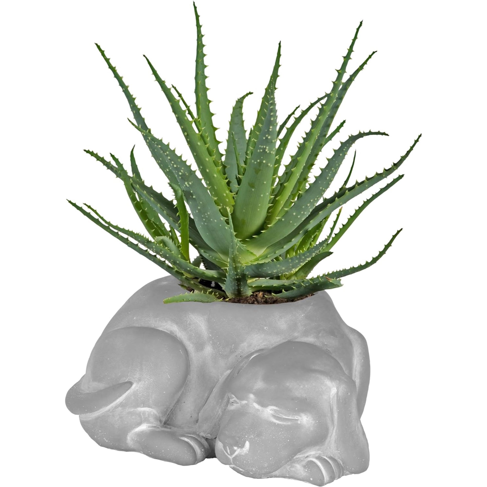 Classic Home and Garden Indoor/Outdoor Cement Succulent Planter with Drainage Hole, Sleeping Dog, Small, 7in